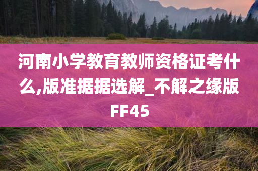 河南小学教育教师资格证考什么,版准据据选解_不解之缘版FF45