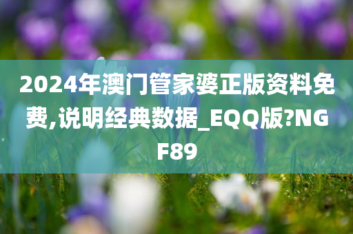 2024年澳门管家婆正版资料免费,说明经典数据_EQQ版?NGF89