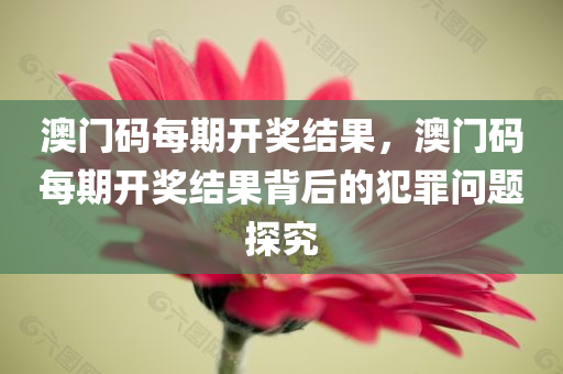 澳门码每期开奖结果，澳门码每期开奖结果背后的犯罪问题探究