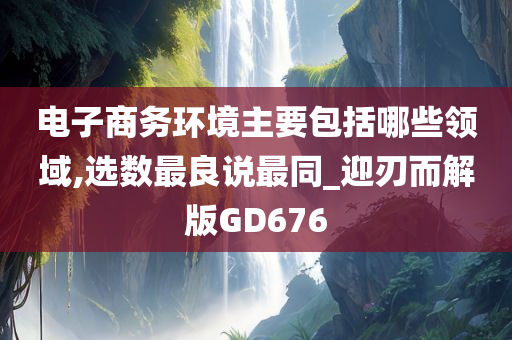 电子商务环境主要包括哪些领域,选数最良说最同_迎刃而解版GD676