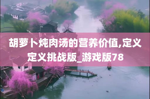 胡萝卜炖肉汤的营养价值,定义定义挑战版_游戏版78