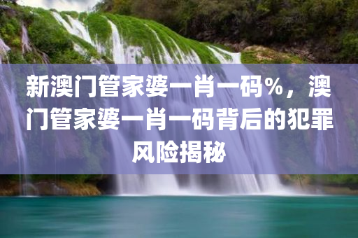 新澳门管家婆一肖一码%，澳门管家婆一肖一码背后的犯罪风险揭秘