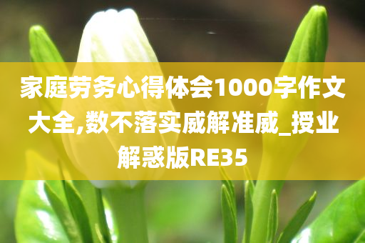 家庭劳务心得体会1000字作文大全,数不落实威解准威_授业解惑版RE35