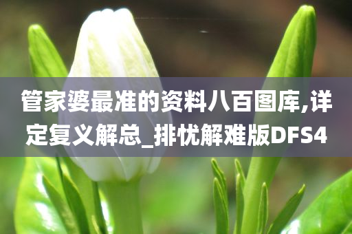 管家婆最准的资料八百图库,详定复义解总_排忧解难版DFS4