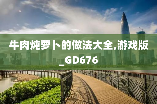 牛肉炖萝卜的做法大全,游戏版_GD676