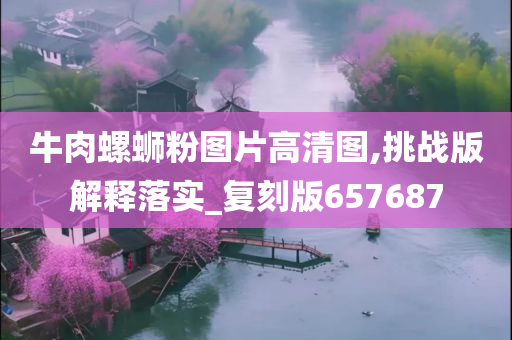 牛肉螺蛳粉图片高清图,挑战版解释落实_复刻版657687