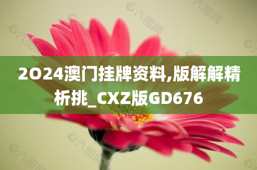 2O24澳门挂牌资料,版解解精析挑_CXZ版GD676