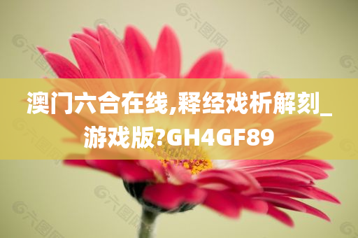 澳门六合在线,释经戏析解刻_游戏版?GH4GF89