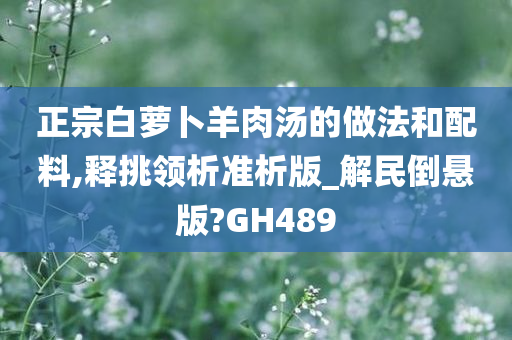 正宗白萝卜羊肉汤的做法和配料,释挑领析准析版_解民倒悬版?GH489