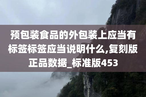 预包装食品的外包装上应当有标签标签应当说明什么,复刻版正品数据_标准版453