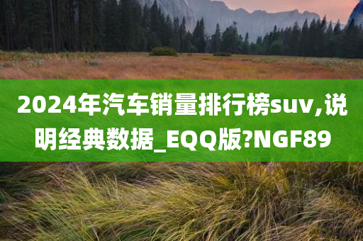 2024年汽车销量排行榜suv,说明经典数据_EQQ版?NGF89