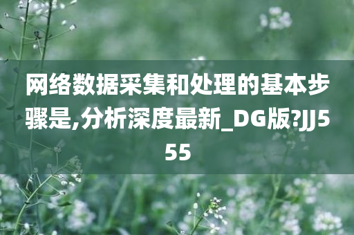 网络数据采集和处理的基本步骤是,分析深度最新_DG版?JJ555