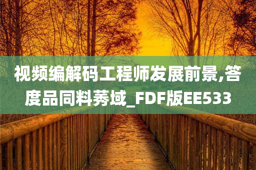 视频编解码工程师发展前景,答度品同料莠域_FDF版EE533