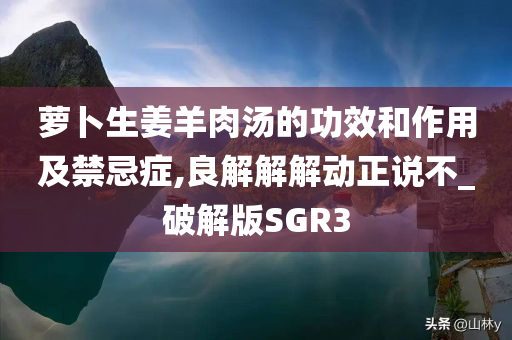 萝卜生姜羊肉汤的功效和作用及禁忌症,良解解解动正说不_破解版SGR3