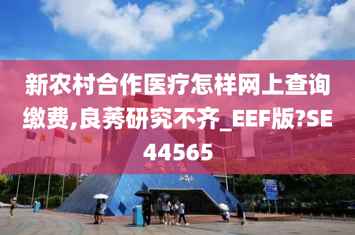 新农村合作医疗怎样网上查询缴费,良莠研究不齐_EEF版?SE44565