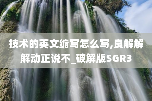 技术的英文缩写怎么写,良解解解动正说不_破解版SGR3