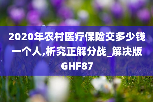 2020年农村医疗保险交多少钱一个人,析究正解分战_解决版GHF87