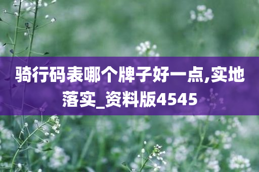 骑行码表哪个牌子好一点,实地落实_资料版4545