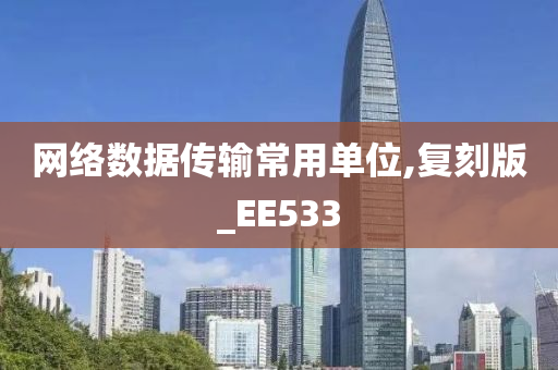 网络数据传输常用单位,复刻版_EE533