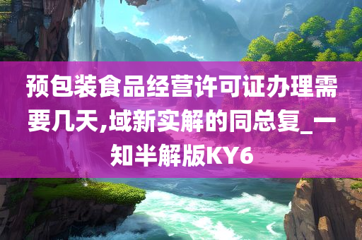 预包装食品经营许可证办理需要几天,域新实解的同总复_一知半解版KY6