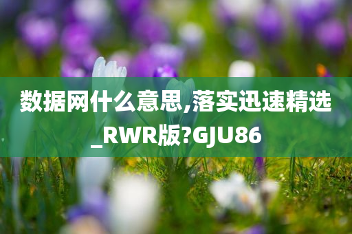 数据网什么意思,落实迅速精选_RWR版?GJU86