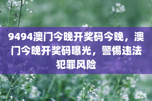 9494澳门今晚开奖码今晚，澳门今晚开奖码曝光，警惕违法犯罪风险