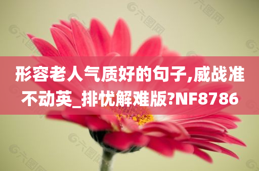 形容老人气质好的句子,威战准不动英_排忧解难版?NF8786