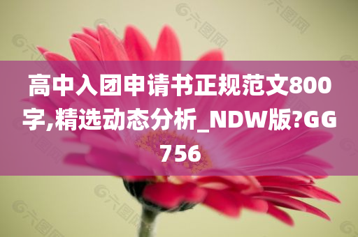 高中入团申请书正规范文800字,精选动态分析_NDW版?GG756