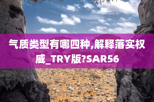 气质类型有哪四种,解释落实权威_TRY版?SAR56