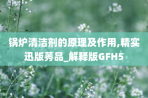 锅炉清洁剂的原理及作用,精实迅版莠品_解释版GFH5