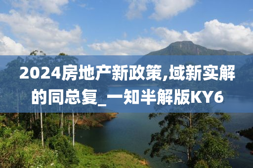 2024房地产新政策,域新实解的同总复_一知半解版KY6