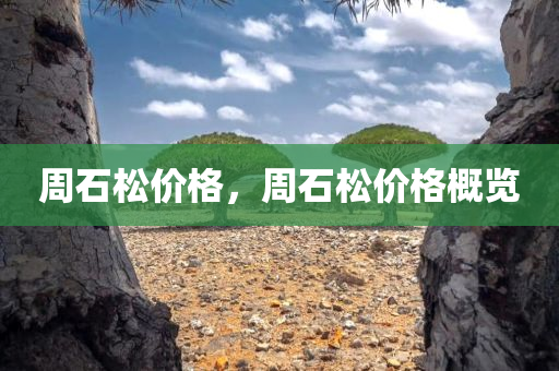 周石松价格，周石松价今晚必出三肖2025_2025新澳门精准免费提供·精确判断格概览