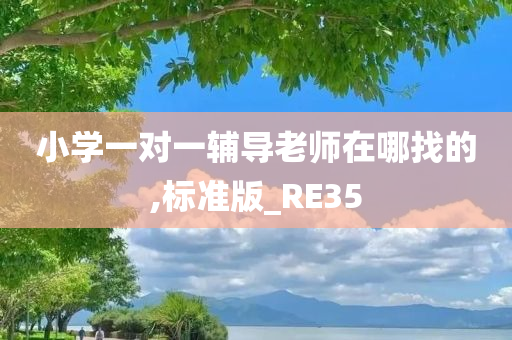 小学一对一辅导老师在哪找的,标准版_RE35