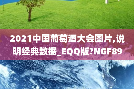 2021中国葡萄酒大会图片,说明经典数据_EQQ版?NGF89