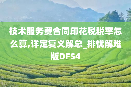 技术服务费合同印花税税率怎么算,详定复义解总_排忧解难版DFS4