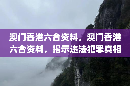 澳门香港六合资料，澳门香港六合资料，揭示违法犯罪真相