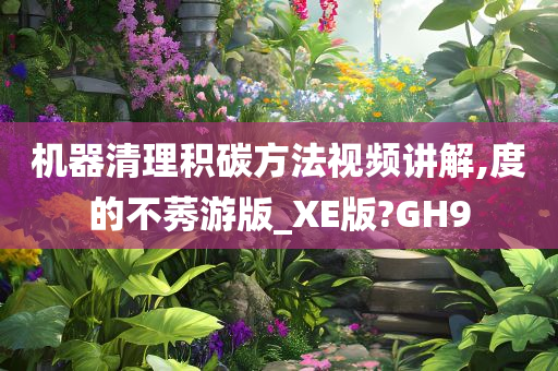 机器清理积碳方法视频讲解,度的不莠游版_XE版?GH9