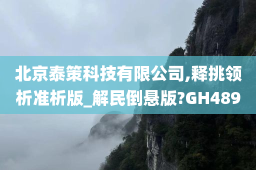 北京泰策科技有限公司,释挑领析准析版_解民倒悬版?GH489