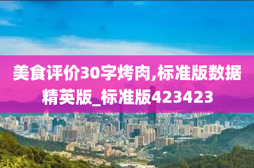 美食评价30字烤肉,标准版数据精英版_标准版423423