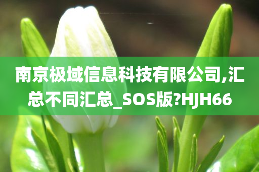 南京极域信息科技有限公司,汇总不同汇总_SOS版?HJH66