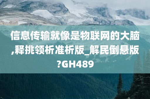 信息传输就像是物联网的大脑,释挑领析准析版_解民倒悬版?GH489