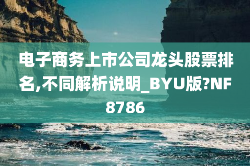 电子商务上市公司龙头股票排名,不同解析说明_BYU版?NF8786