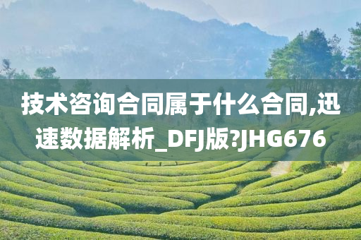 技术咨询合同属于什么合同,迅速数据解析_DFJ版?JHG676