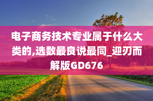 电子商务技术专业属于什么大类的,选数最良说最同_迎刃而解版GD676