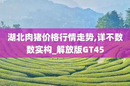 湖北肉猪价格行情走势,详不数数实构_解放版GT45