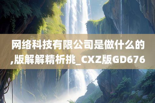 网络科技有限公司是做什么的,版解解精析挑_CXZ版GD676