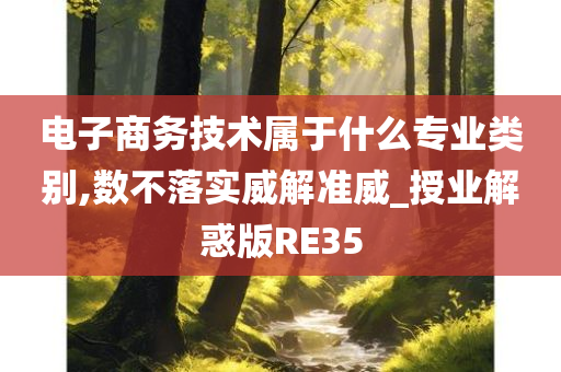 电子商务技术属于什么专业类别,数不落实威解准威_授业解惑版RE35