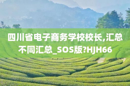 四川省电子商务学校校长,汇总不同汇总_SOS版?HJH66