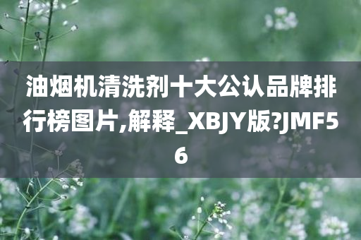 油烟机清洗剂十大公认品牌排行榜图片,解释_XBJY版?JMF56