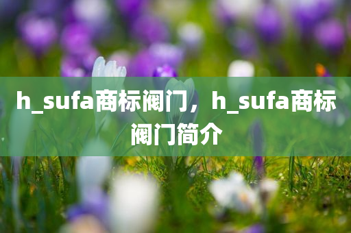 h_sufa商标阀门，h_sufa商标阀门简介